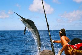 amazing fish